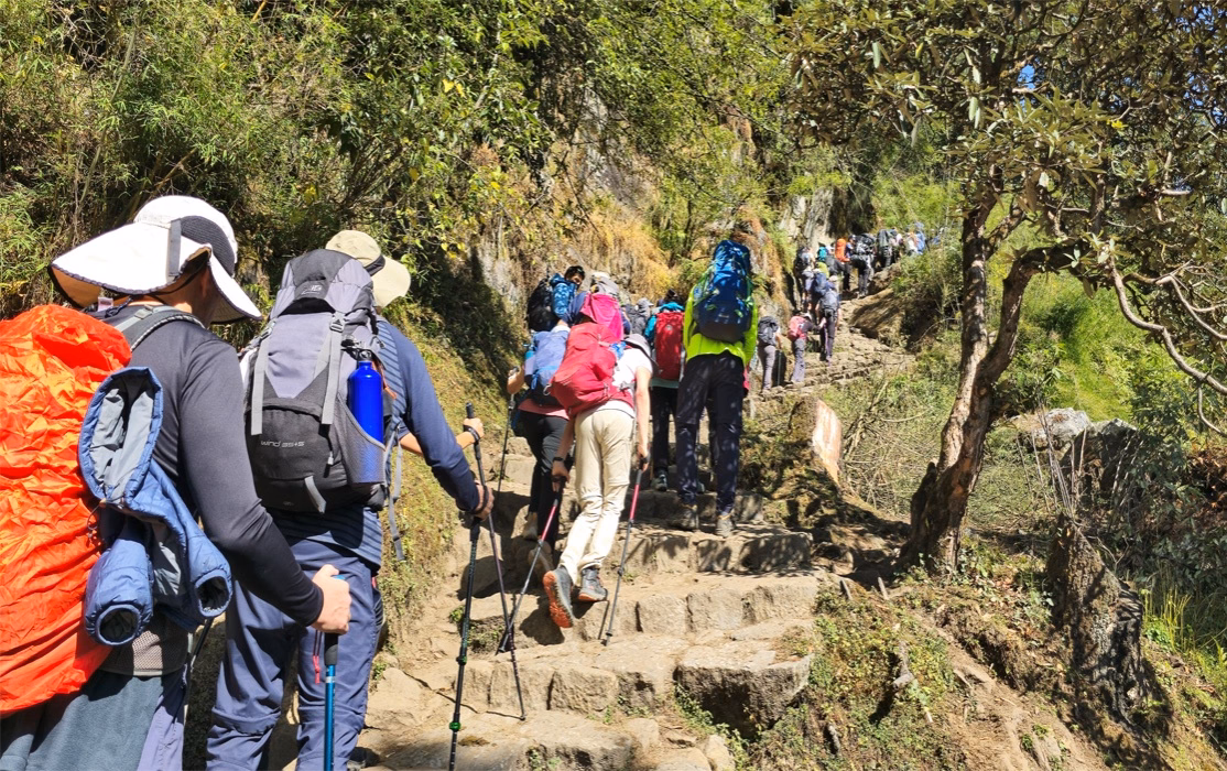 trekkers-walking-pic.avif